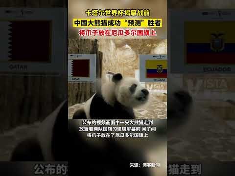 意甲第,轮那不勒斯,罗马战平,篮球比分网,篮球赛事比分,篮球比赛数据,篮球赛事资讯,篮球赛事平台