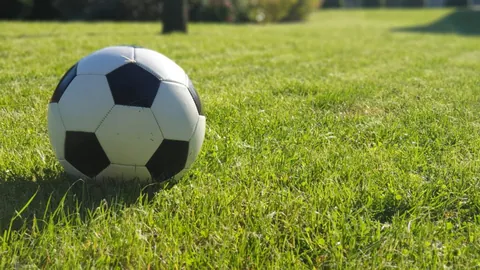 辽篮上海之旅：弗格全力备战，团队氛围轻松，大韩与杨鸣心情愉悦